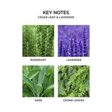 NEST Fragrances 3-Wick Candle- Cedar Leaf & Lavendar , 21.1oz