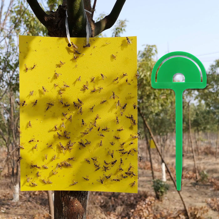 80 Sheets Sticky Fly Traps, Dual-Sided, for Flying Insect, Indoor and Outdoor, 8x6 Inch, Yellow