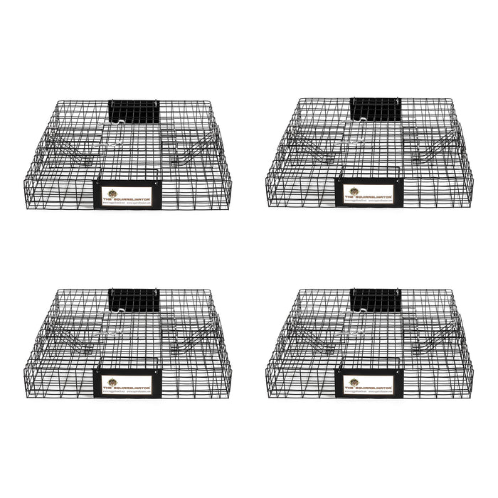 Rugged Ranch Squirrelinator Live Chipmunk, Squirrel, Rat, Mouse, Rodent, Small Animal, Metal Wire 2 Door Trap, Cage Trap Only, Black (4 Pack)