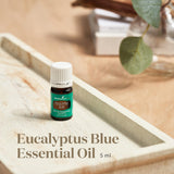 Young Living Eucalyptus Blue Premium Essential Oil Diffuser - 100% Pure, Cool & Refreshing Scent - Aromatherapy for Relaxation and Muscle Relief - 5ml Bottle