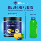 KEY NUTRIENTS Electrolytes Powder No Sugar - Fresh Blueberry Lemonade Electrolyte Powder - Hydration Powder - No Calories, Gluten Free Keto Electrolytes Powder - 90 Servings - Made in USA