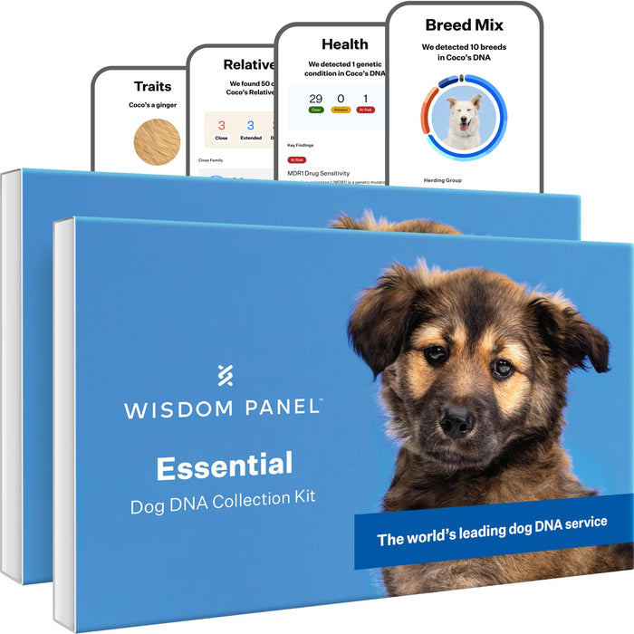 Wisdom Panel Essential Dog DNA Kit: Most Accurate Test for 365+ Breeds, 30 Genetic Health Conditions, 50+ Traits, Relatives, Ancestry - 2 Pack