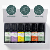 Plant Therapy Top 6 USDA Organic Essential Oil Set - Lavender, Peppermint, Eucalyptus, Lemon, Tea Tree 100% Pure, Natural Aromatherapy, for Diffusion & Topical Use, Therapeutic Grade 10 mL (1/3 oz)