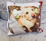 Custom Photo Color Printed Cushion Cover